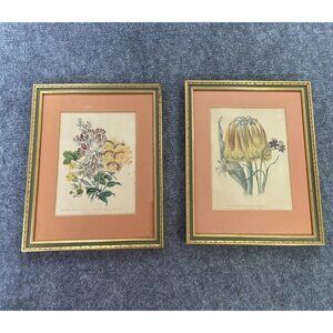 VTG Jane Loudon Framed Art Set Ladies Flower Garden 1839 Lithograph handcoloring